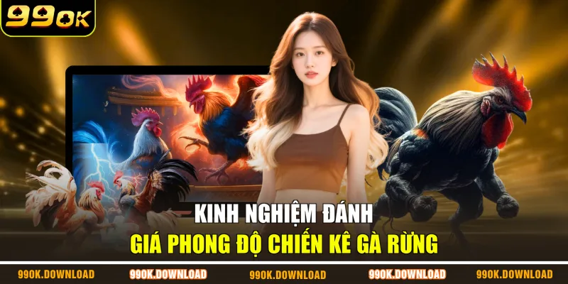 Kinh nghiệm đánh giá phong độ chiến kê gà rừng