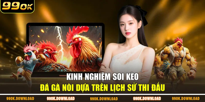 Kinh nghiệm soi kèo đá gà nòi dựa trên lịch sử thi đấu