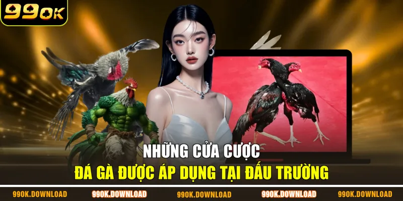 Những cửa cược đá gà được áp dụng tại đấu trường