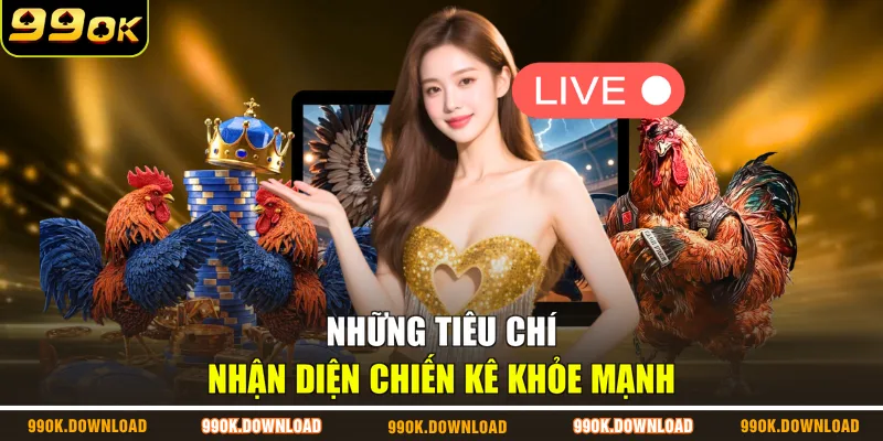 Những tiêu chí nhận diện chiến kê khỏe mạnh