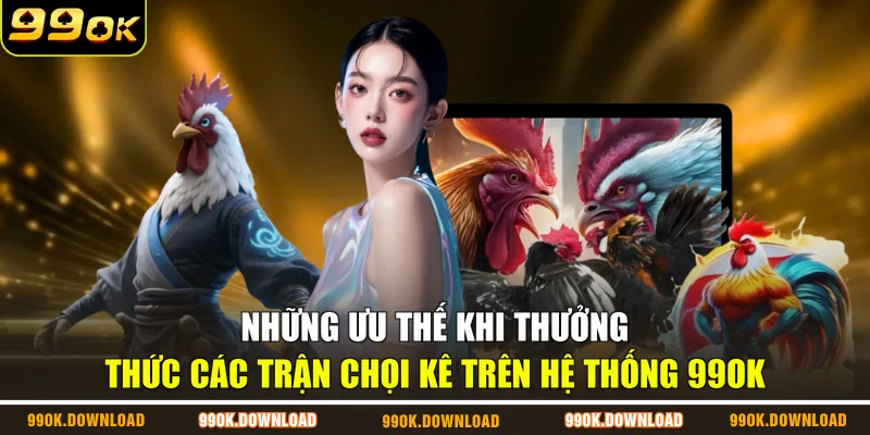 Những ưu thế khi thưởng thức các trận chọi kê trên hệ thống 99OK