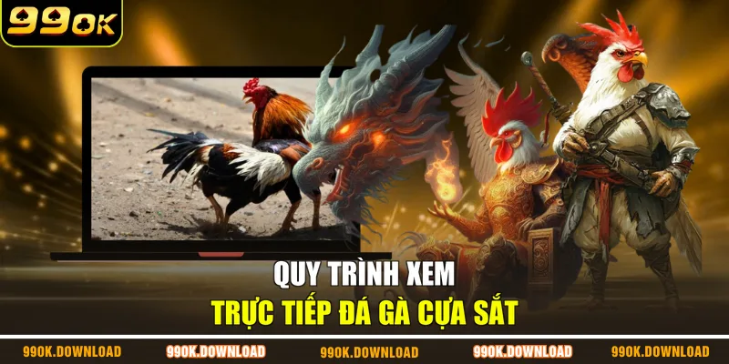 Quy trình xem trực tiếp đá gà cựa sắt